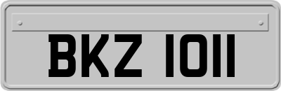 BKZ1011