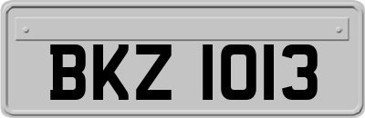 BKZ1013