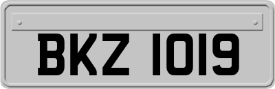 BKZ1019