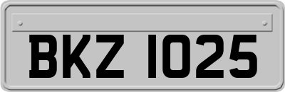 BKZ1025