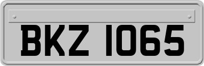 BKZ1065