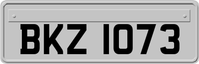 BKZ1073