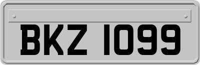 BKZ1099