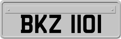 BKZ1101