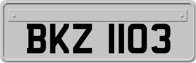 BKZ1103