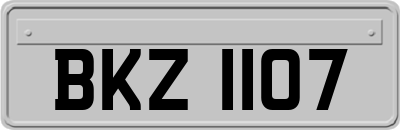 BKZ1107