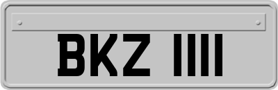 BKZ1111