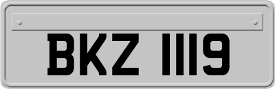 BKZ1119