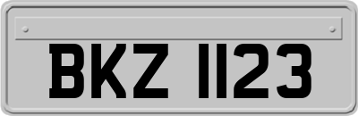 BKZ1123