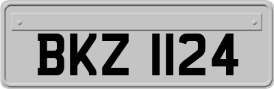 BKZ1124
