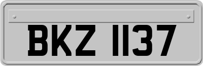 BKZ1137