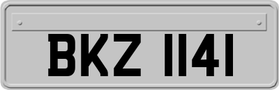 BKZ1141