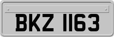 BKZ1163
