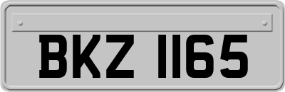 BKZ1165