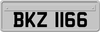 BKZ1166