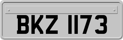 BKZ1173