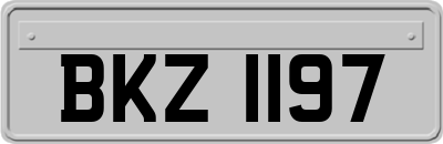 BKZ1197