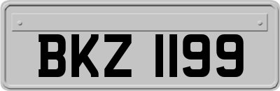 BKZ1199