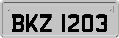 BKZ1203