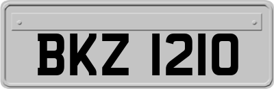 BKZ1210