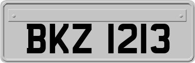 BKZ1213