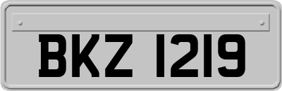 BKZ1219
