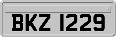 BKZ1229