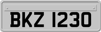 BKZ1230