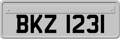 BKZ1231