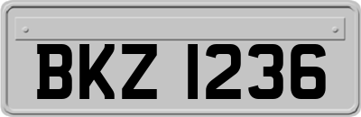 BKZ1236