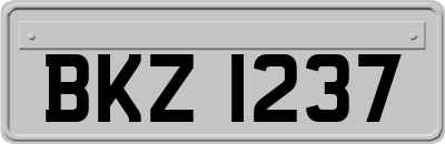 BKZ1237