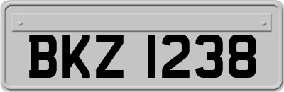 BKZ1238
