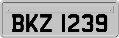 BKZ1239
