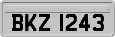 BKZ1243