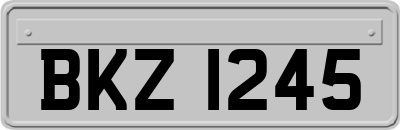 BKZ1245