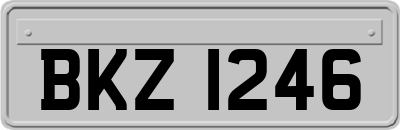 BKZ1246