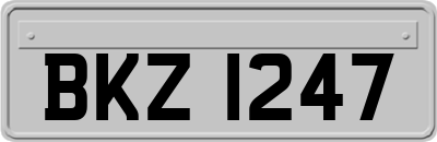 BKZ1247