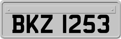 BKZ1253