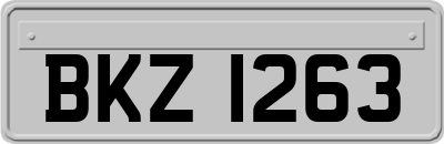 BKZ1263
