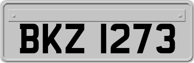 BKZ1273