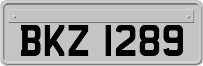 BKZ1289