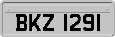 BKZ1291