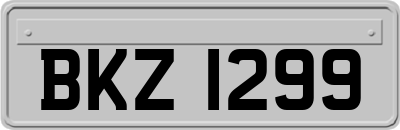 BKZ1299