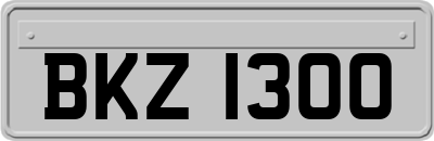 BKZ1300