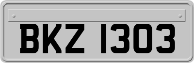 BKZ1303