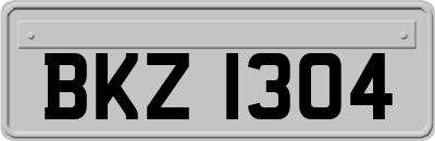 BKZ1304
