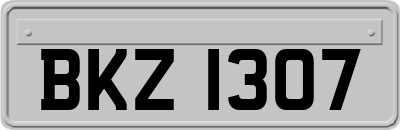 BKZ1307