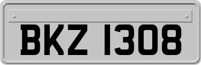 BKZ1308