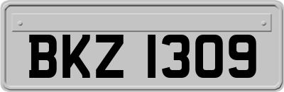 BKZ1309