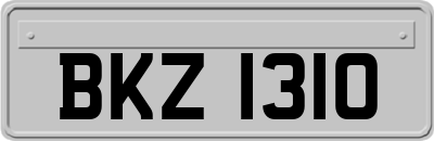 BKZ1310